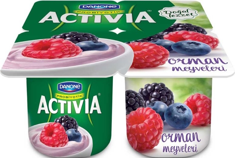Activia Orman Meyveli